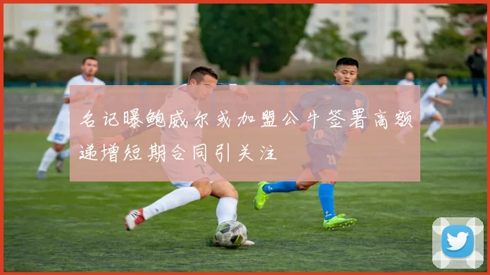 名记曝鲍威尔或加盟公牛签署高额递增短期合同引关注