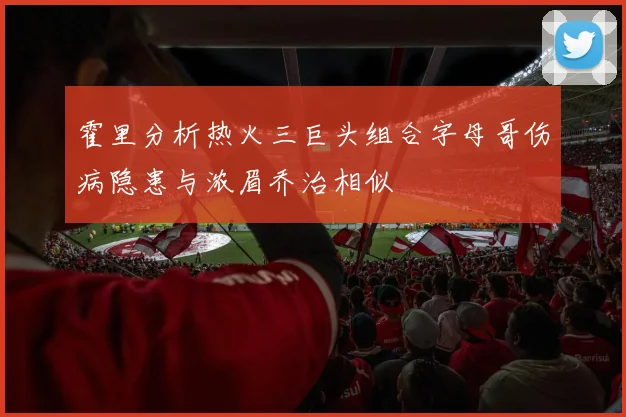 霍里分析热火三巨头组合字母哥伤病隐患与浓眉乔治相似